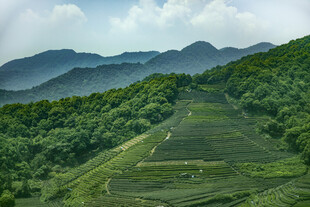 青山绿野间的梯田美景