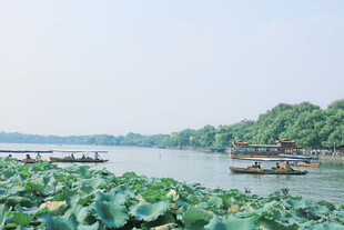 杭州西湖美景