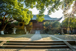 古寺庭院绿意盎然景致