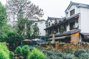 江南风格民居与绿植环绕