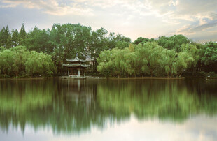湖畔亭景 绿意盎然