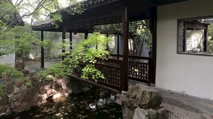 中式庭院一角景致