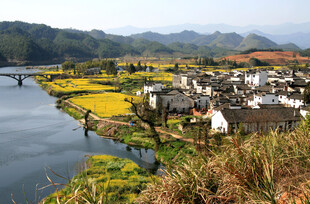 水乡田园风光与劳作场景