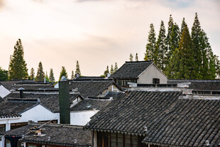 江南水乡屋顶风光