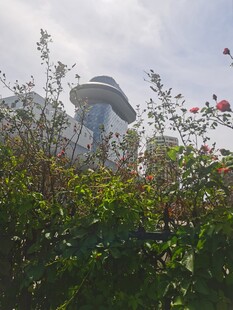 花丛掩映
