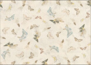 蝴蝶图案的浅色纹理背景