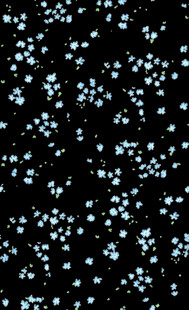 黑色背景上的白色点状图案