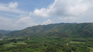 英德市大湾镇农村视频