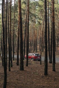 林间红车 静谧自然之景