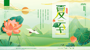 夏至时节荷花绽放图景