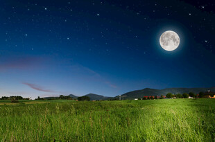 月夜下的广袤绿色原野