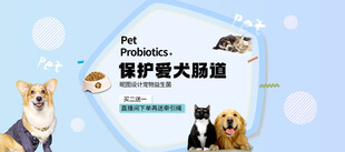 宠物护毛大揭秘