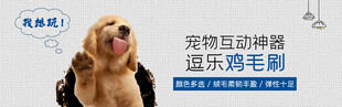 宠物互动毛刷 狗狗超爱