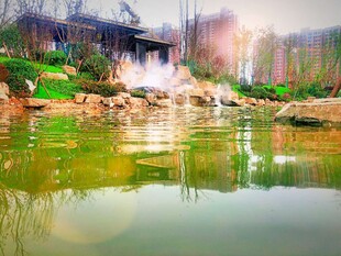 宁静湖畔园林美景