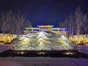 夜晚璀璨的艺术景观雕塑