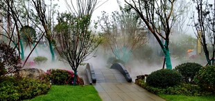 公园雾气弥漫的林间小道