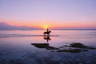 夕阳下海边的浪漫骑马时刻