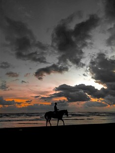 夕阳下的海边骑马者