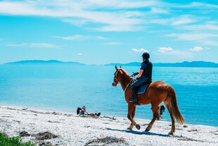 海边骑马者与美丽海景