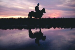 夕阳下的骑手与马的倒影