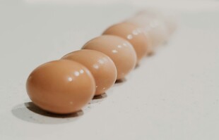 一排鸡蛋整齐摆放