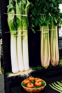 新鲜蔬菜展示