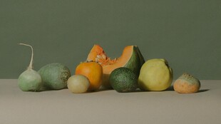 多彩南瓜静物摆拍