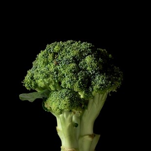 一颗新鲜的西兰花