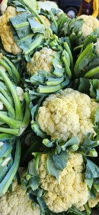 新鲜花椰菜 翠绿与淡黄交织