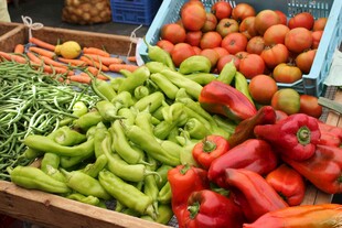 多彩新鲜蔬菜陈列展示