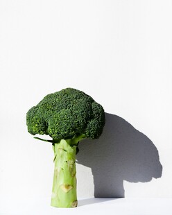 西兰花造型似树的创意画面