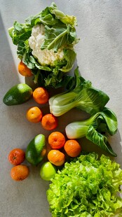 新鲜多样蔬菜组合展示