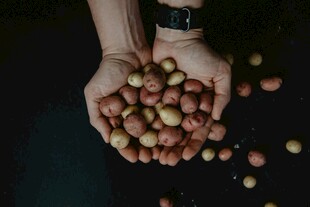 双手捧满多彩果实