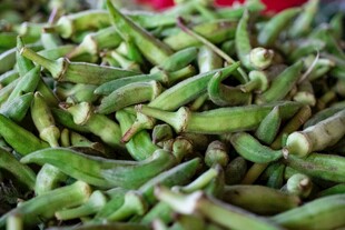 新鲜秋葵特写