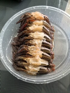 蒜蓉虾