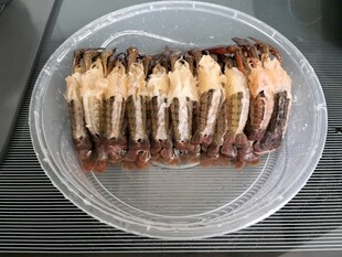 蒜蓉虾