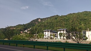 公路两侧
