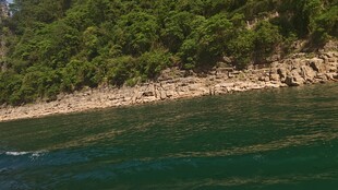 河岸
