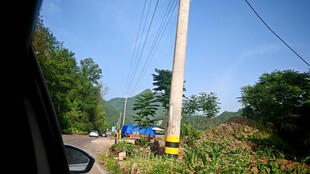 电线杆 