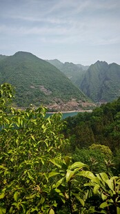 山顶