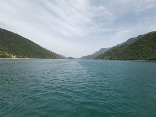 青山绿水