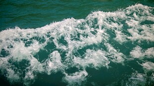 浪花