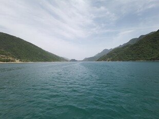 水面