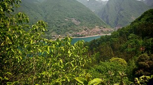山景