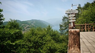 山顶
