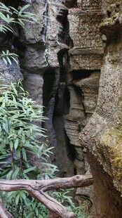 岩缝