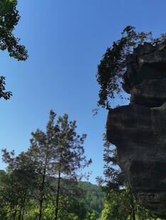 仰拍天空