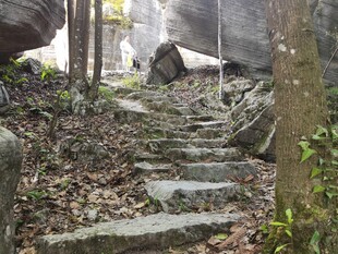山林石梯