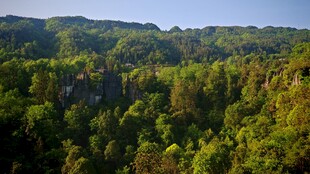 山林