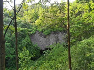 山林